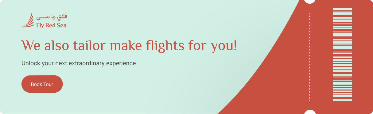 Fly Red Sea boarding pass